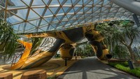 Ini adalah wahana Canopy Park yang terletak di tingkat teratas Jewel, terdapat ruangan seluas 14.000 meter persegi yang menyediakan tempat bermain, taman, dan outlet makan dalam kenyamanan dengan iklim yang disesuaikan dengan alam hutan bebas. (Changi Airport Singapore)