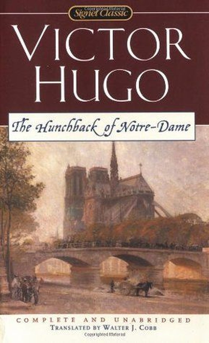 Walter перевод. Notre-Dame de Paris Victor Hugo. Hunchback notre Dame books.