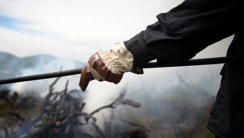 Pesta Barbeku hingga Picu Kebakaran Hutan, 2 Mahasiswa Didenda Rp 420 M Pesta Barbeku hingga Picu Kebakaran Hutan, 2 Mahasiswa Didenda Rp 420 M