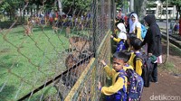 Letaknya berada di Komplek Pemkab Bandung, Soreang. Pada libur akhir pekan, biasanya taman ini ramai dikunjungi anak-anak. (Wisma Putra/detikcom)