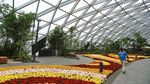 Keren! Ada Air Terjun Di Tengah Bandara Changi Singapura