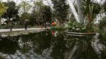 Keren! Ada Air Terjun Di Tengah Bandara Changi Singapura