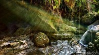 Selain indah, suasana asri dan hijau juga menjadi ciri khas air terjun ini (Rinto/detikcom)