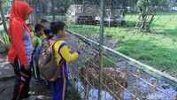 Destinasi murah meriah ini sekaligus sarana untuk mengenalkan anak-anak kepada hewan rusa. (Wisma Putra/detikcom)