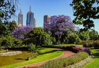 Royal Botanic Garden di Sydney (iStock)