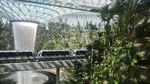 Foto: Mewahnya Jewel Changi Airport Singapura