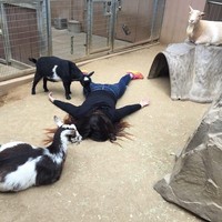 Bagi Stephanie, Stefdies miliknya adalah kebalikan dari selfie. Posenya membuat orang lebih fokus ke pemandangan yang ada. Foto: Dok. Stefdies