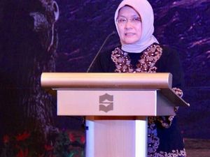 Mengenal Lebih Dekat Singa Festival Barongsai di Karimun