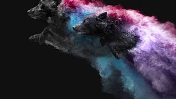 Karya-karya Jess Bell lainnya bisa dinikmati di Instagram @jessbellphotography. Foto: Instagram @jessbellphotography via Brainberries               