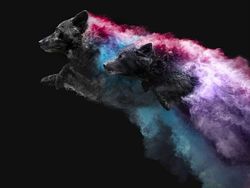 Cantiknya Powder Photography pada Anjing