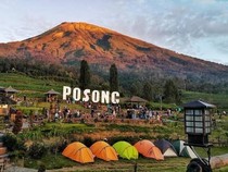 Ada Panen Raya, Akses Mobil ke Wisata Posong Temanggung Ditutup 2 Bulan