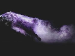 Cantiknya Powder Photography pada Anjing