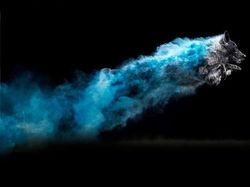 Cantiknya Powder Photography pada Anjing