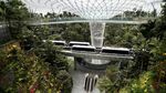 Keren! Ada Air Terjun Di Tengah Bandara Changi Singapura