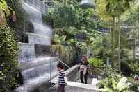 (Changi Airport Singapore)