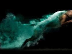 Cantiknya Powder Photography pada Anjing