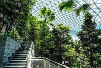 (Changi Airport Singapore)