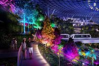 (Changi Airport Singapore)