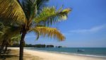 Foto: Pantai Cantik Malaysia yang Ternoda Turis BAB