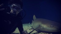 Sebelum atau sesudah konser, biasanya akan liburan sejenak supaya tidak stress. Salah satu kegiatan liburannya adalah diving. (oohsehun/Instagram)