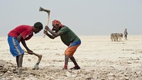 Oleh sebab itu, tidak ada orang yang tinggal di sekitar Danakil. Walaupun, beberapa penduduk di kawasan Afar sering datang ke Danakil untuk mengambil garam di sana dan menjualnya di kota-kota (iStock)