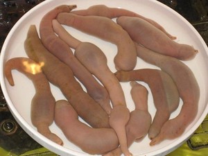 Berani Coba? 5 Makanan Ekstrem dan Kontroversial dari Korea Selatan