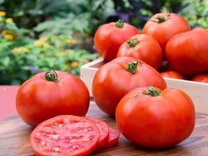 Sebelum Parah, Kendalikan Darah Tinggi dengan Konsumsi 5 Makanan Enak Ini