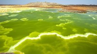 Danakil ternyata sangat kaya dengan belerang, sulfur, mineral dan garam kalium. Di beberapa titik, danau belerang yang luas dengan warna hijau, kuning sampai merah yang tercampur-campur (iStock)