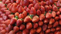 Punya Penyakit Langka, Gusi Wanita Ini Mirip Seperti Buah Strawberry