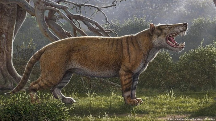 Singa Purba Raksasa Ditemukan di Kenya