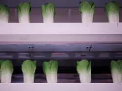 Keren! China Bangun Markas Simulasi Planet Mars di Gurun Gobi