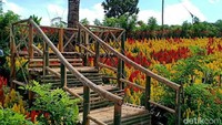 Ini ada di Banyuwangi. Lahan seluas 10 hektar yang berada di lereng Ijen ini disulap menjadi kebun berbagai tanaman yang hasil pertanian asli Banyuwangi. (Ardian Fanani/detikcom)