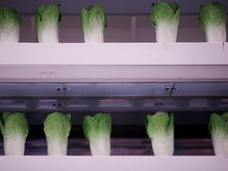 Penampakan Koloni Mars Buatan China