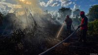 Layani Permintaan Pasar, Brasil dan Indonesia Babat Lebih Banyak Hutan Layani Permintaan Pasar, Brasil dan Indonesia Babat Lebih Banyak Hutan