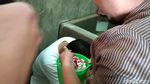 Caleg Gagal Mandi Kembang di Padepokan Anti Galau