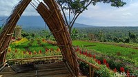 Di pameran ini juga bakal dipamerkan berbagai alat produksi pertanian mulai tradisional hingga modern sebagai edukasi bagi anak-anak muda. Tidak hanya cantik, namun kaya edukasi kan? (Ardian Fanani/detikcom)
