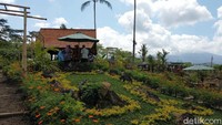 Beragam aneka tanaman pertanian unggulan daerah mulai hortikultura, tanaman pangan, perkebunan hingga peternakan dan semua produk olahannya di tampilkan di ajang ini. (Ardian Fanani/detikcom)