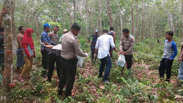 Potongan Kerangka Manusia Ditemukan di Kebun Karet Riau Potongan Kerangka Manusia Ditemukan di Kebun Karet Riau