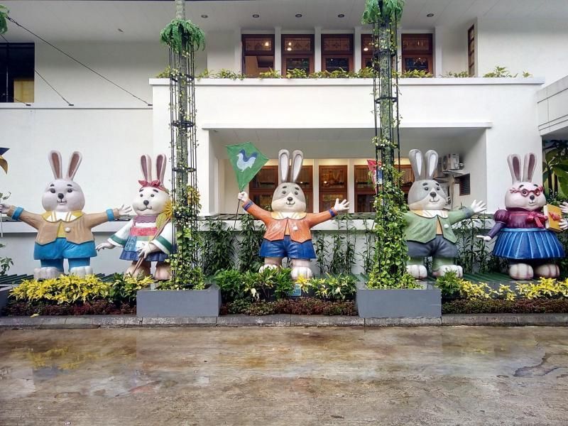 Rabbit Town