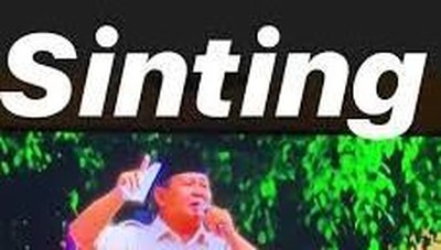 Ini Postingan Berbahaya Erin Taulany yang Dinilai Hina Prabowo