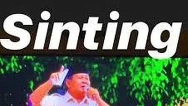 Ini Postingan Berbahaya Erin Taulany yang Dinilai Hina Prabowo