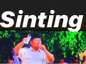 Soal Postingan Erin Taulany, Relawan Jokowi: Tak Perlu Disoal