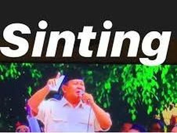 Ini Postingan Berbahaya Erin Taulany yang Dinilai Hina Prabowo