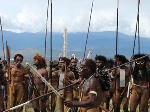Mengenal Tujuh Wilayah Adat Papua yang Jadi Dasar Pemekaran