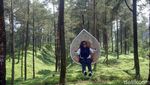 Foto: Hutan Pinus Instagramable di Banyumas