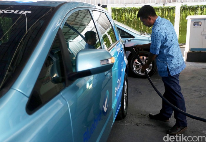 Bluebird akan mengoperasikan armada taksi listrik pertama. Untuk taksi reguler, Bluebird memakai mobil BYD e6. Sementara Tesla Model X dipakai untuk Silverbird.