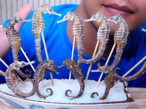 Waduh! Biar Eksis, Pria Ini Santap Kuda Laut Panggang