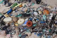 Sampah-sampah yang menggunung (Dr Jennifer Lavers/ABC Australia)