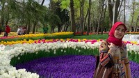 Emirgan Park adalah taman sejarah sejak abad ke-16. Dahulu namanya Taman Feridun, kemudian diganti menjadi Taman Emirgan. (ayutingting92/Instagram)