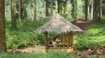 Foto: Hutan Pinus Instagramable di Banyumas